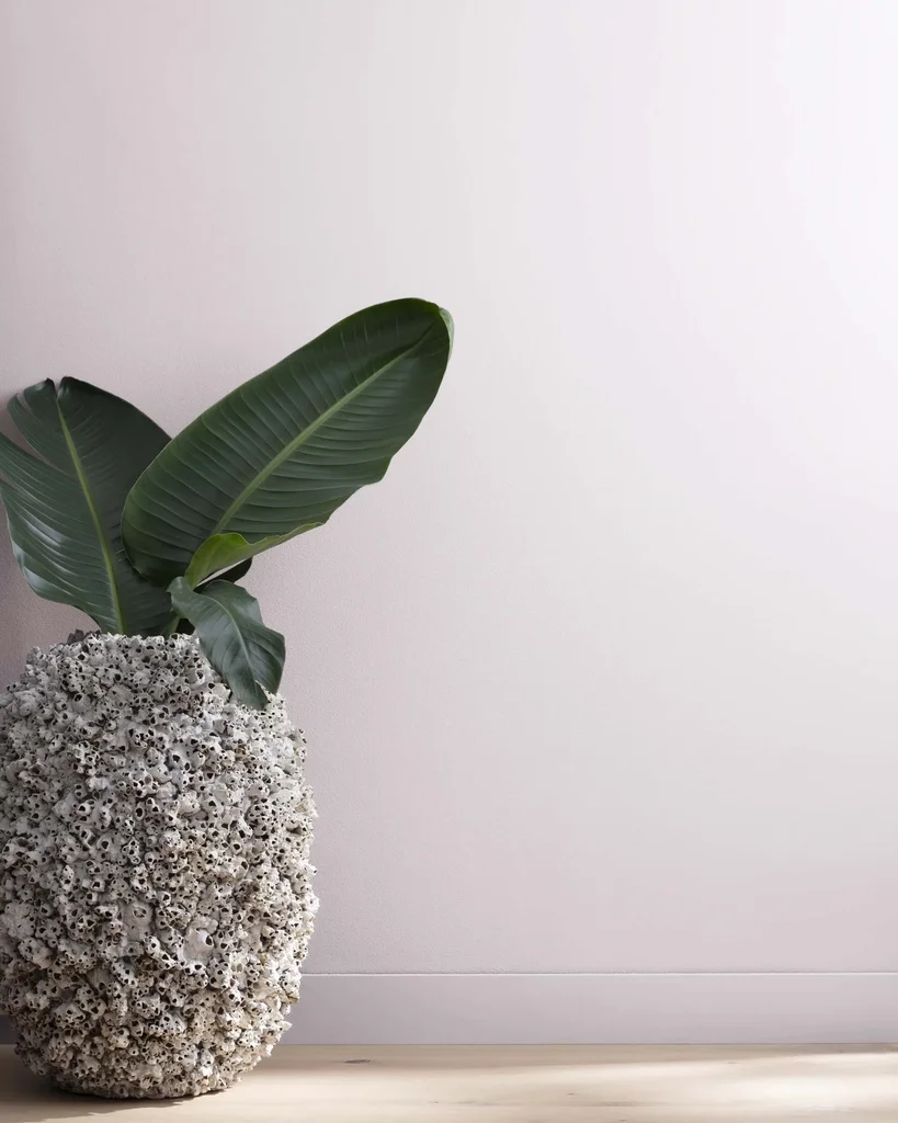 BENJAMIN MOORE — BM purple-paint (7)
