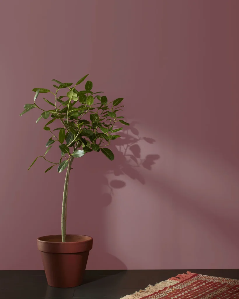 BENJAMIN MOORE — BM red-paint (2)