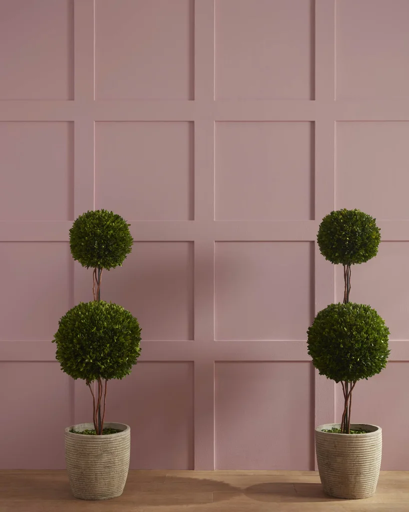 BENJAMIN MOORE — BM red-paint barberry