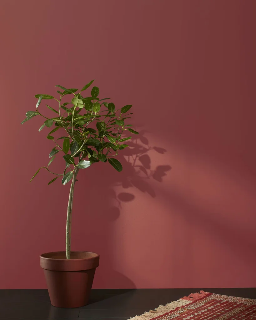 BENJAMIN MOORE — BM red-paint